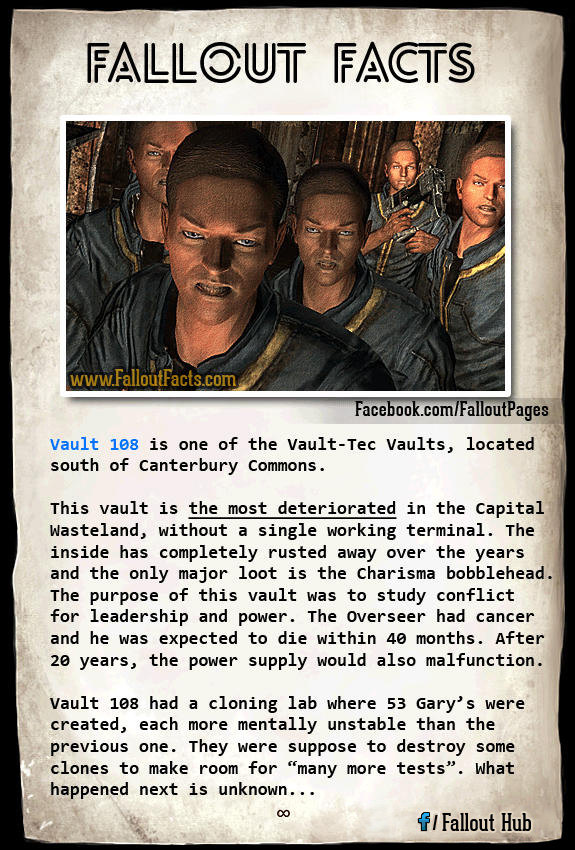 vault 108 gary